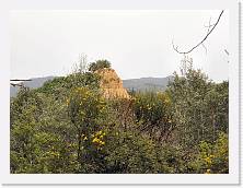 P6020144 * 2048 x 1536 * (740KB)