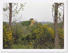P6020148 * 2048 x 1536 * (745KB)