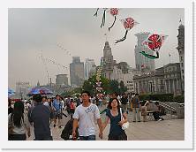 P1010496 * 2048 x 1536 * (557KB)
