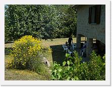 P1010807 * 2048 x 1536 * (1.56MB)