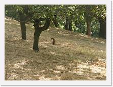 P8120299 * 2048 x 1536 * (1.4MB)