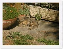 P8140337 * 2048 x 1536 * (1.37MB)