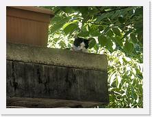 P8140338 * 2048 x 1536 * (591KB)