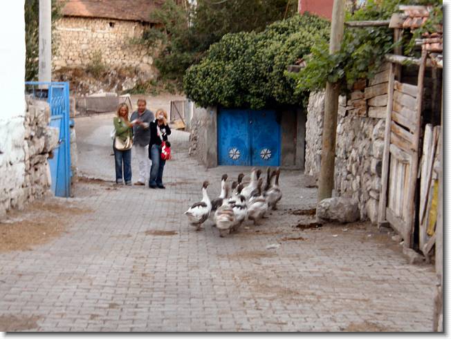 Clicca per scorrere le foto originali ingrandite
