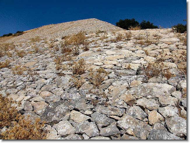 Clicca per scorrere le foto originali ingrandite
