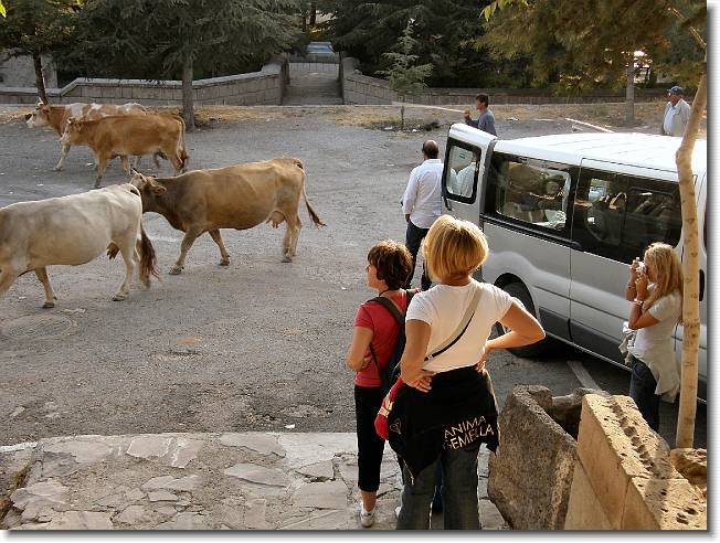 Clicca per scorrere le foto originali ingrandite