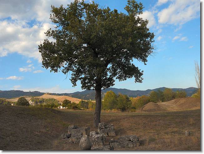 Clicca per scorrere le foto originali ingrandite