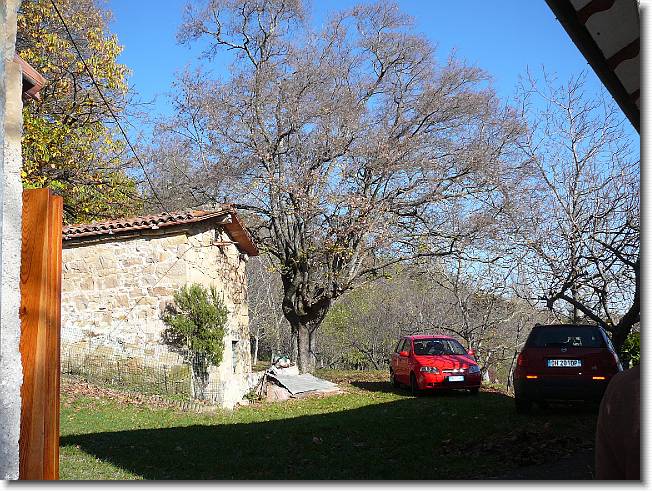 Clicca per scorrere le foto originali ingrandite