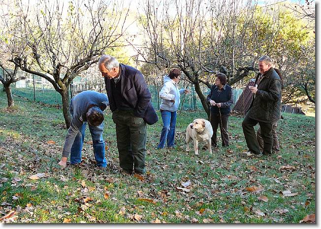 Clicca per scorrere le foto originali ingrandite
