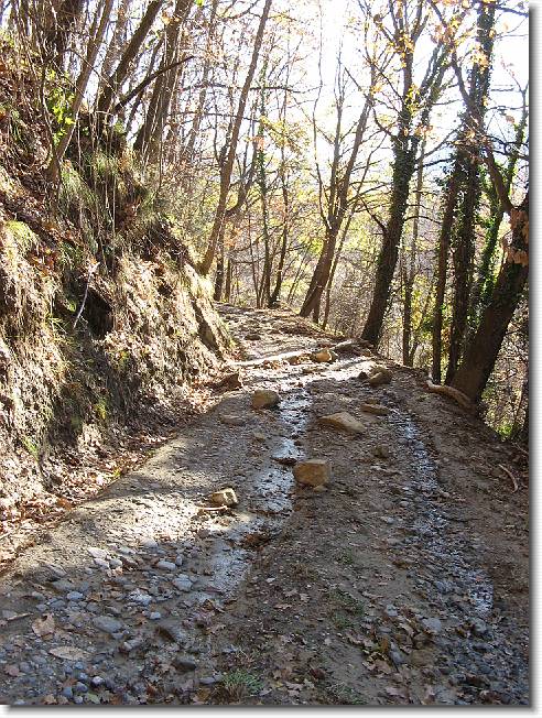 Clicca per scorrere le foto originali ingrandite