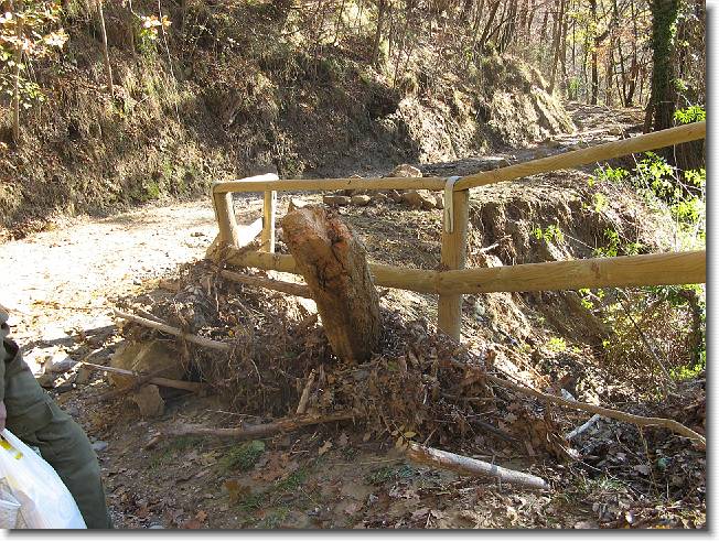 Clicca per scorrere le foto originali ingrandite