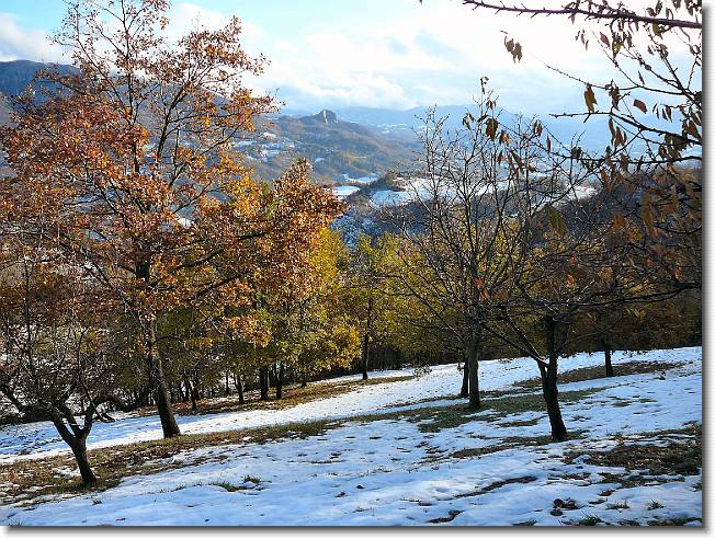 Clicca per scorrere le foto originali ingrandite