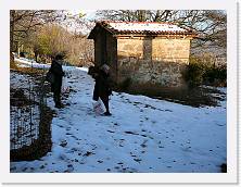 P1020391 * 2048 x 1536 * (528KB)