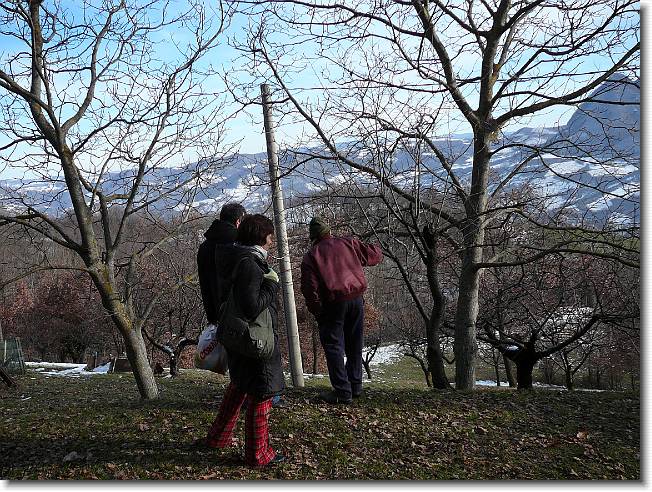 Clicca per scorrere le foto originali ingrandite