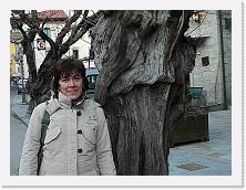 P1020634 * 2048 x 1536 * (1.49MB)