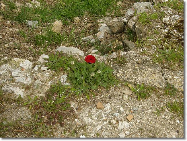 Clicca per scorrere le foto originali ingrandite