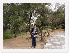 P3290055 * 2048 x 1536 * (607KB)