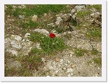 P3290098 * 2048 x 1536 * (626KB)