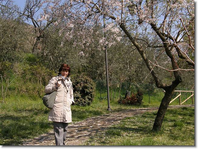 Clicca per scorrere le foto originali ingrandite