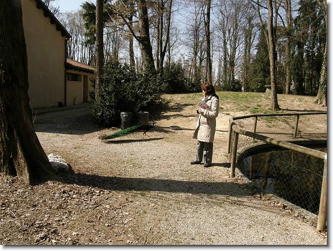 Clicca per scorrere le foto originali ingrandite