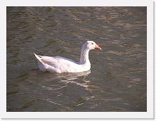 P3210224 * 2048 x 1536 * (556KB)
