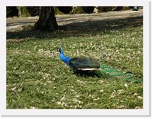P3220277 * 2048 x 1536 * (655KB)