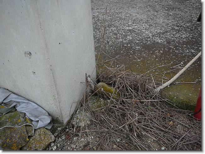 Clicca per scorrere le foto originali ingrandite