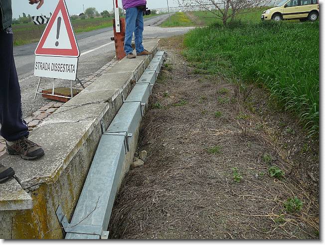Clicca per scorrere le foto originali ingrandite