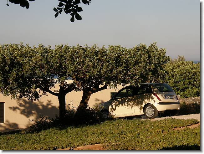 Clicca per scorrere le foto originali ingrandite