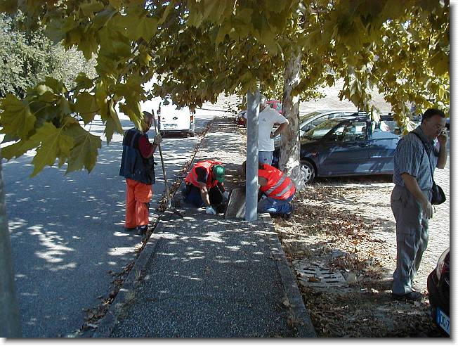 Clicca per scorrere le foto originali ingrandite