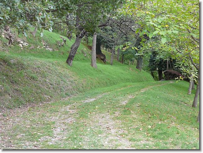 Clicca per scorrere le foto originali ingrandite