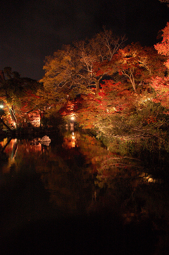 Photo of Eikando
