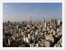 PA280034 * 2048 x 1536 * (646KB)