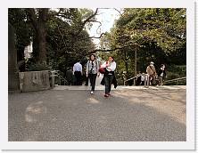 PA290049 * 2048 x 1536 * (933KB)