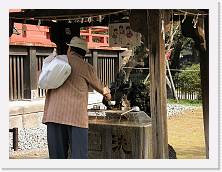 PA290052 * 2048 x 1536 * (651KB)