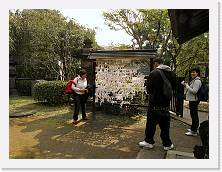 PA290054 * 2048 x 1536 * (846KB)