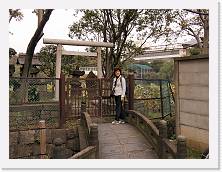 PA290062 * 2048 x 1536 * (826KB)
