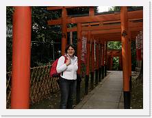 PA290067 * 2048 x 1536 * (1.14MB)