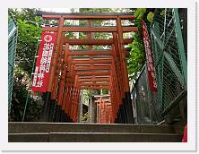 PA290069 * 2048 x 1536 * (1.46MB)