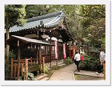 PA290073 * 2048 x 1536 * (1023KB)