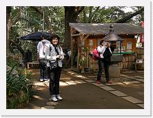 PA290079 * 2048 x 1536 * (1.39MB)