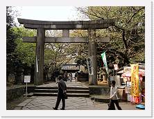 PA290081 * 2048 x 1536 * (928KB)
