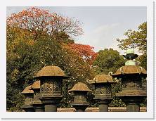 PA290086 * 2048 x 1536 * (901KB)
