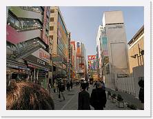 PA300138 * 2048 x 1536 * (543KB)