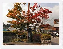 PA310155 * 2048 x 1536 * (720KB)
