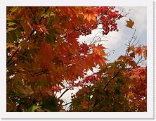 PA310158 * 2048 x 1536 * (1.37MB)