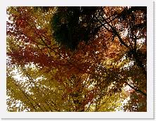 PA310181 * 2048 x 1536 * (1.33MB)