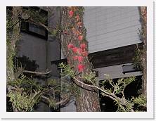 PA310201 * 2048 x 1536 * (1.31MB)