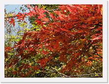PB010209 * 2048 x 1536 * (1.42MB)