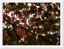 PB010213 * 2048 x 1536 * (1.33MB)